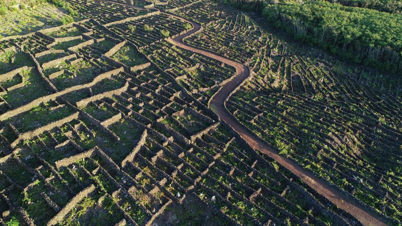 مبيت وإفطار مادالينا Pocinhobay المظهر الخارجي الصورة